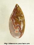 Agua Nueva Agate Agua Nueva Agate