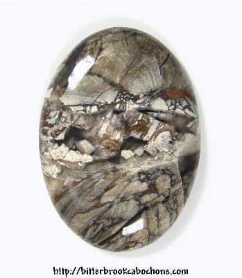 Agatized Wood