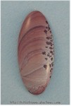 Apache Sage Cabochon