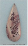 Apache Sage Agate Cabochon