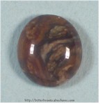 Biggs Canyon Picture Jasper