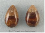 Biggs Canyon Picture Jasper Pair