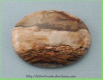 Biggs Canyon Picture Jasper