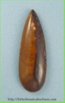Biggs Canyon Picture Jasper Biggs Canyon Picture Jasper