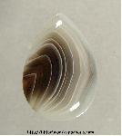 Botswana Agate Cabochon