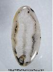 Brazilian Agate Cabochon Brazilian Agate Cabochon