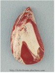 Brecciated Jasper Brecciated Jasper
