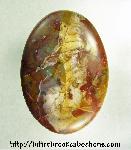 Brecciated Jasper Cabochon (Doublet)