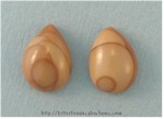 Bruneau Jasper Pair Bruneau Jasper Pair