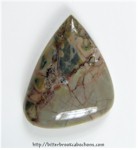 Butterfly Wing Jasper Butterfly Wing Jasper