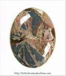 Butterfly Wing Jasper