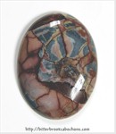 Butterfly Wing Jasper