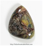 Butterfly Wing Jasper Butterfly Wing Jasper
