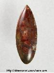 Butterfly Wing Jasper Cabochon Butterfly Wing Jasper Cabochon