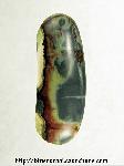 Butterfly Wing Jasper Cabochon Butterfly Wing Jasper Cabochon