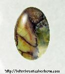 Butterfly Wing Jasper Cabochon