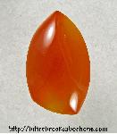 Carnelian Cabochon