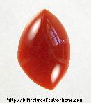 Carnelian Cabochon