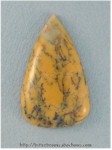 Jasper Jasper