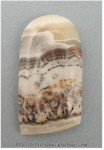 Dendritic Jasper Dendritic Jasper