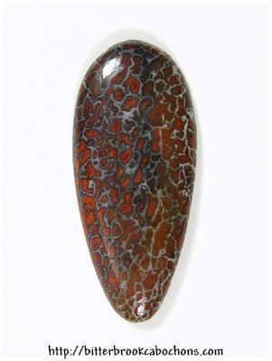 Dinosaur Bone