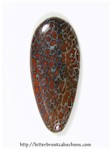 Dinosaur Bone Dinosaur Bone