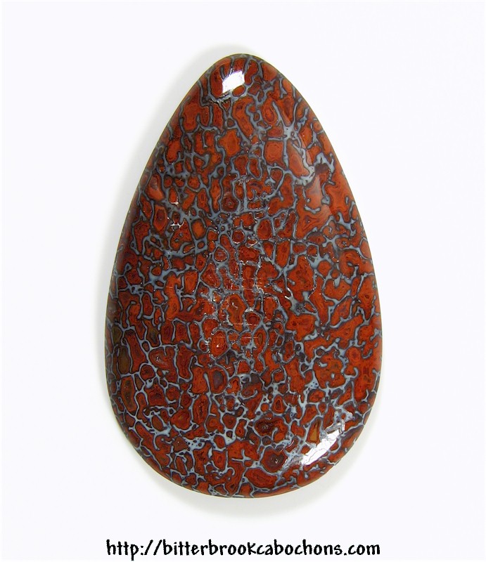 Dinosaur Bone Cabochon