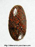 Dinosaur Bone Cabochon Dinosaur Bone Cabochon