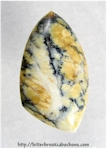 Dendrite Opal Cabochon