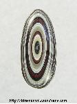 Fordite Cabochon