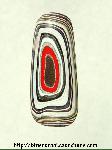 Fordite Cabochon