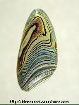 Fordite Cabochon