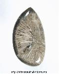 Horn Coral Cabochon Horn Coral Cabochon