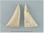 Imperial Jasper Pair Imperial Jasper Pair