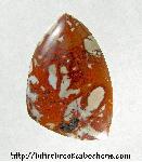 Jasper Cabochon