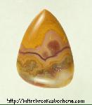 Kentucky Agate Cabochon