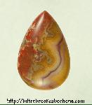 Kentucky Agate Cabochon