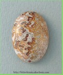 Lace Agate Lace Agate