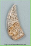 Lace Agate Lace Agate