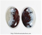 Lace Agate Pair