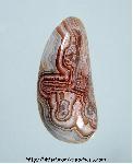 Lace Agate