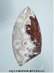 Lace Agate