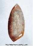 Lace Agate Cabochon Lace Agate Cabochon