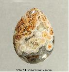 Lace Agate Cabochon