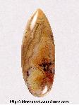 Lace Agate Cabochon Lace Agate Cabochon