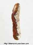 Lace Agate Cabochon Lace Agate Cabochon