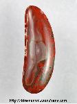 Lace Agate Cabochon Lace Agate Cabochon