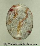 Lace Agate Cabochon