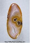 Laguna Agate Laguna Agate