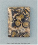 Leopardskin Jasper